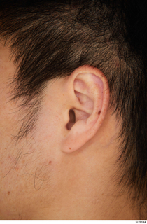 Lan ear 0001.jpg